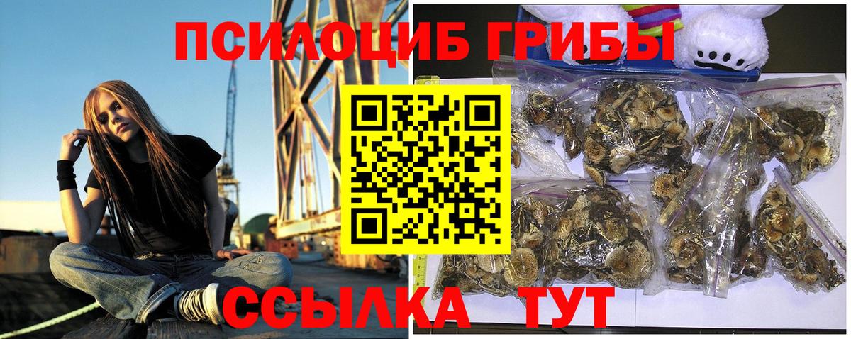 Галлюциногенные грибы прущие грибы Кизилюрт
