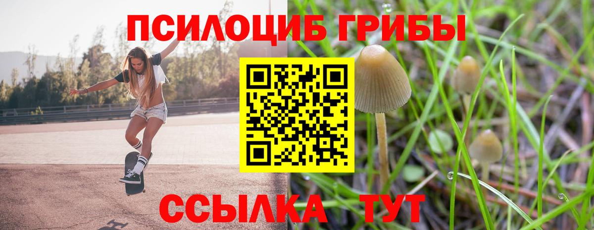 Галлюциногенные грибы мухоморы  как найти закладки  Кизилюрт  Вход с VPN 